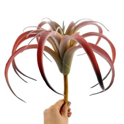 Suculenta Tislandia Vermelha Planta Artificial 27cm Permanen - 2