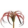 Suculenta Tislandia Vermelha Planta Artificial 27cm Permanen - 1