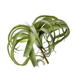 Suculenta Tislandia Verde Planta Artificial Permanente 35cm - 1