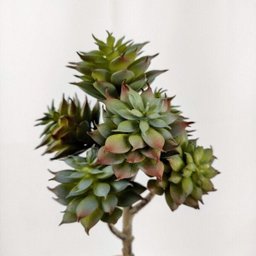 Suculenta Pinha Roxa X7 Planta Artificial Permanente 18cm - 5