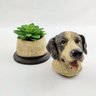 Potiche Pet Pote Decorativo Cachorro Labrador 16x12cm Decor - 6