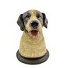 Potiche Pet Pote Decorativo Cachorro Labrador 16x12cm Decor - 1