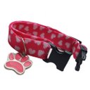 Ver imagem 3 de Coleira Elástica Para Gatos Mista Com 10 Unidades