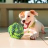 Brinquedo Bola de Cachorro em Corda Verde 8cm - Casambiente PETS024-Verde - 4
