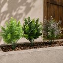 Ver imagem 1 de Kit 3 Folhagens de Eucalipto Permanente 30cm Verde Mescla e Verde com Lilás Prime