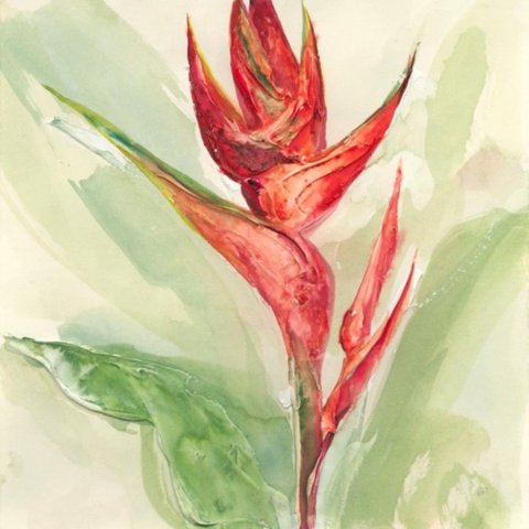 Exotic Flower Iv Canaleta 80x80cm Preta