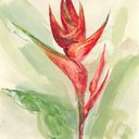 Ver imagem 1 de Exotic Flower Iv Canaleta 80x80cm Preta