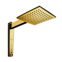 Ver imagem 1 de Chuveiro Acqua Century Digital - Preto com Cromado - 220v 7800w - Dourado Brilho