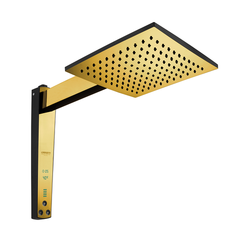 Chuveiro Acqua Century Digital - Preto com Cromado - 220v 7800w - Dourado Brilho