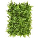 Ver imagem 1 de Placa de Samambaia Eucalipto 40 X 60cm Muro Inglês Jardim Vertical