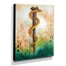 Quadro De Pintura Símbolo Da Medicina 80X60Cm-0966 - 4