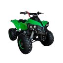 Ver imagem 1 de Quadriciclo Gasolina 125cc 4t Partida Elétrica Automático com Ré 0km Verde Importway Iwatvr-125 Vd