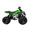 Ver imagem 3 de Quadriciclo Gasolina 125cc 4t Partida Elétrica Automático com Ré 0km Verde Importway Iwatvr-125 Vd
