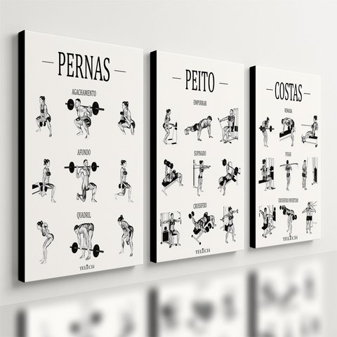 Kit 3 Quadro Decorativo Guia de Exercícios Treino Academia Gym Musculação 40x28cm