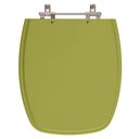 Ver imagem 1 de Assento Sanitário Stylus Verde Itapoã para Vaso Celite