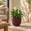 Ver imagem 2 de Vaso de Plantas e Flores Tramontina Laos Terracota 33x28cm P