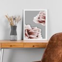 Ver imagem 2 de Quadro Rosas Rosa Fundo Cinza 45x34cm - com Vidro:moldura Branca