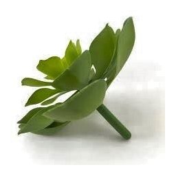 6 suculentas artificiais decorativas plantas em silicone - 4