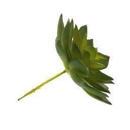 6 suculentas artificiais decorativas plantas em silicone - 3