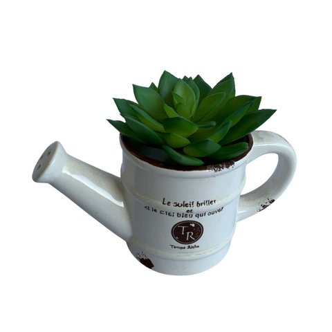 6 Suculentas Artificiais Decorativas Plantas em Silicone