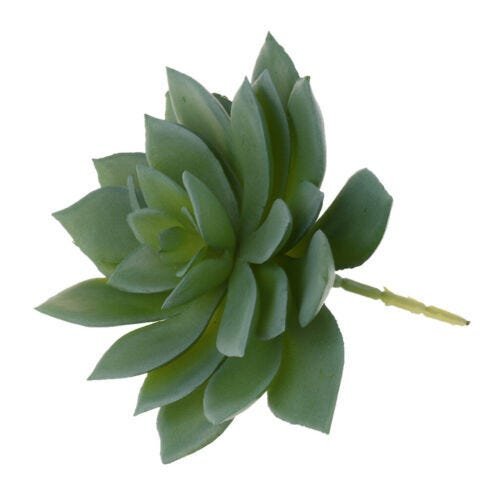 6 suculentas artificiais decorativas plantas em silicone - 1
