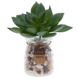 6 suculentas artificiais decorativas plantas em silicone - 5