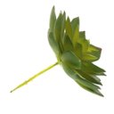 Ver imagem 4 de Kit 4 suculentas bananinha artificiais em silicone decoração