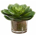 Ver imagem 3 de Kit 4 suculentas bananinha artificiais em silicone decoração