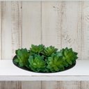 Ver imagem 3 de Kit 5 Suculentas Rosa Pedra Artificiais em Silicone para Terrario
