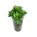 Ver imagem 2 de Kit 5 Suculentas Rosa Pedra Artificiais em Silicone para Terrario