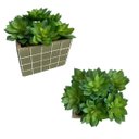 Ver imagem 2 de Kit 10 Suculentas Artificiais para Jardim Artificial em Silicone