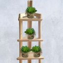 Ver imagem 4 de Kit 10 Suculentas Artificiais para Jardim Artificial em Silicone