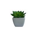 Ver imagem 1 de Kit 10 Suculentas Artificiais para Jardim Artificial em Silicone