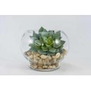 Ver imagem 3 de Kit 12 Suculentas Silicone para Guirlanda de Suculentas Artificiais