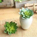 Ver imagem 6 de Kit 12 Suculentas Silicone para Guirlanda de Suculentas Artificiais