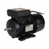 Motor Elétrico 3cv 1748rpm Monofásico Bivolt 127/220v 60hz com 4 Pólos Ip55 Yl100l1-4 Lynus - 1