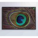 Ver imagem 3 de Quadro Penas De Pavão 120x80 Cm Vidro Impresso