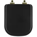Ver imagem 1 de Tampa de Vaso Poliéster Com Amortecedor Quadra Preto Fosco para Bacia Deca com Ferragem Dourada