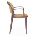 Ver imagem 6 de Kit 4 Cadeiras de Jantar Roma Prática com Braços para Sala e Cozinha - Marrom Claro