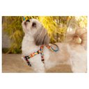 Ver imagem 5 de Coleira Cachorros com Guia Praia P Style