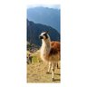 Adesivo Decorativo de Porta - Lhama - Peru - 2526cnpt - 1