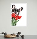 Ver imagem 1 de Quadro Cão Bulldog Francês com Flores Tulipas 45x34cm - com Vidro:moldura Branca