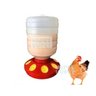 Comedouro 8 Furos Aves 1,5kg Frango Galinha - 3