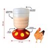 Comedouro 8 Furos Aves 1,5kg Frango Galinha - 2