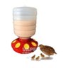Comedouro 8 Furos Aves 1,5kg Frango Galinha - 5
