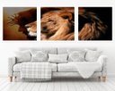 Ver imagem 1 de Quadro Decorativo 195x64cm Cristo Leão De Judá Quarto Sala