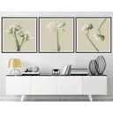 Ver imagem 1 de Quadro Decorativo 195x64cm Flores Brancas Spa Recepção Sala