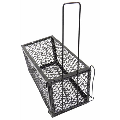 Ratoeira Gaiola Grande Armadilha Pega Rato Roedores Ratazana Camundongos Captura