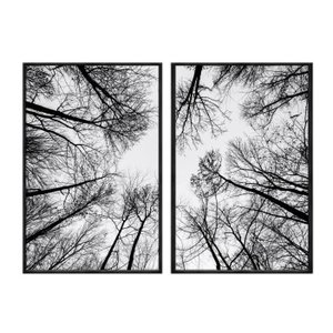 Kit 02 Quadros Decorativos - Galhos de Arvores Vista Inferior Flnt038 - Vidro - 60x80cm