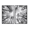 Kit 02 Quadros Decorativos - Galhos de Arvores Vista Inferior Flnt038 - Vidro - 60x80cm - 1